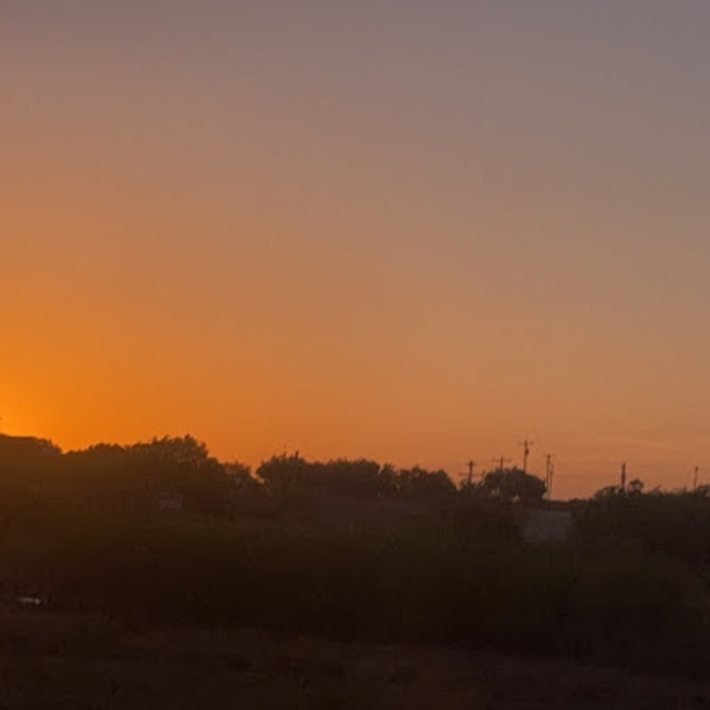 Meet your Posher, Aylin